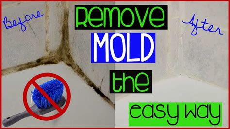 Gently rub with the paste on a sponge or soft nylon brush. How To Clean Grout In the Shower? - The Housing Forum