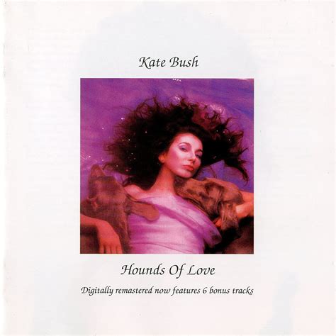hounds of love bush kate amazon de musik