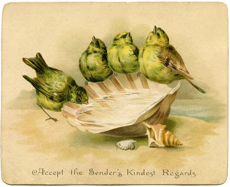 Graphic Image Birds With Seashell Birdbath The