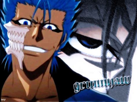 Grimmjow Jeagerjaques Wallpaper On Wallpapersafari Hot Sex Picture