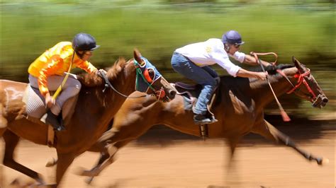 Competicion de carreras de caballos en la Laguna de Valleseco. - YouTube