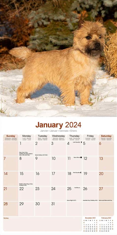 Cairn Terrier Calendar Dog Breed Calendars Pet Prints Inc
