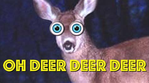 Oh Deer Deer Deer Youtube