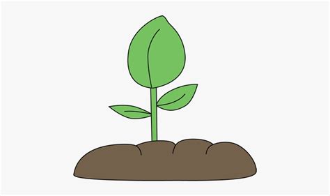 Soil Clipart Free 10 Free Cliparts Download Images On Clipground 2024