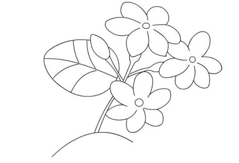 Sketsa dari gambar bunga ini juga bisa menjadi salah satu ide/gagasan tentang hal yang ingin … 39+ Gambar Sketsa Bunga Indah, Sakura, Mawar, Melati ...