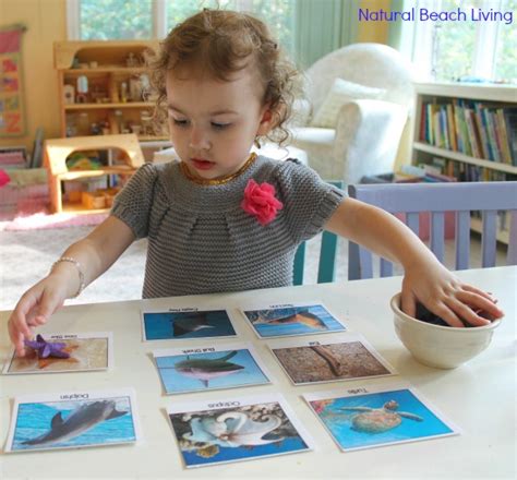 Sea animals (look at the picture and click on the correct word) grade/level: The Best Under The Sea Preschool Activities - Natural ...