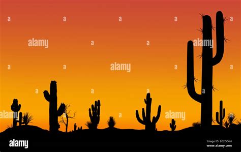 Silhouettes Of Different Cacti At Sunset With A Cloudless Sky In The