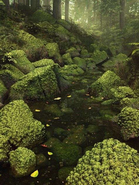 Moss Covered Rocks In Stream By Gub Gub Beautiful Nature Nature