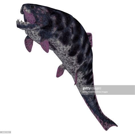 Dunkleosteus Prehistoric Fish From The Devonian Period Stock