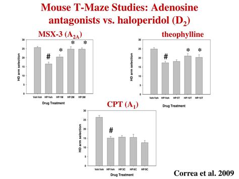 Ppt Dopamine Motivation And Schizophrenia Research With Rodent
