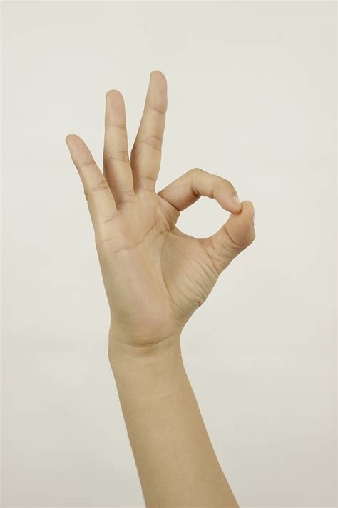 Free Photo Hand Finger The Gesture Human Hand Gesturing Human