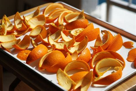 Cómo Usar Cáscaras De Naranja Toronja Y Mandarina Para Vitaminar Las