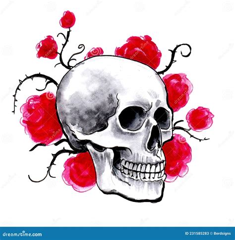 Human Skull And Red Roses Stock Image 231585283