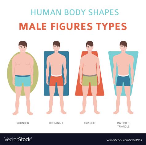 Body Figure Male Figure Mens Body Types Inverted Triangle Spirulina Type Setting Male Body