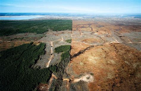 The Athabasca Oil Sands Ie Tar Sands Before And After This Is