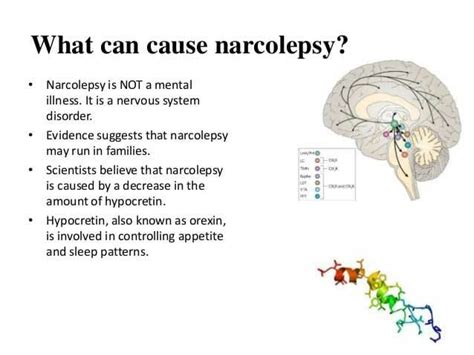 Narcolepsy Definition Narcolepsy Idiopathic Hypersomnia Health Ledger