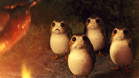 The Definitive Ranking Of Cute Beings In Star Wars The Beat