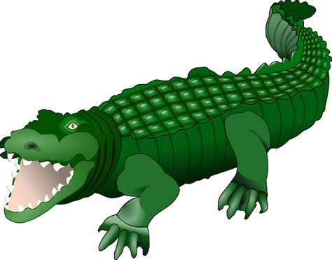 Crocodile Alligator Animal · Free Vector Graphic On Pixabay
