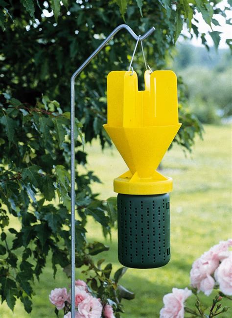 Japanese Beetle Trap Catch Can With Bait Japanese Beetles Trap Japanese Beetles Japanese