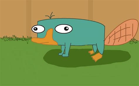 Perry The Platypus Wallpapers Wallpaper Cave