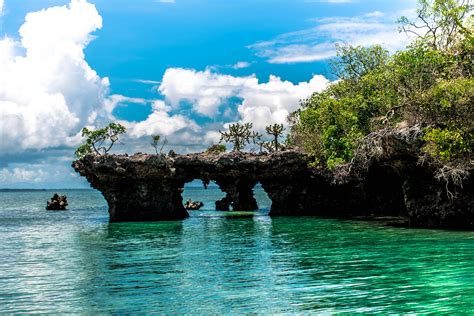 Safari Blue Sailing Tour Zanzibareco