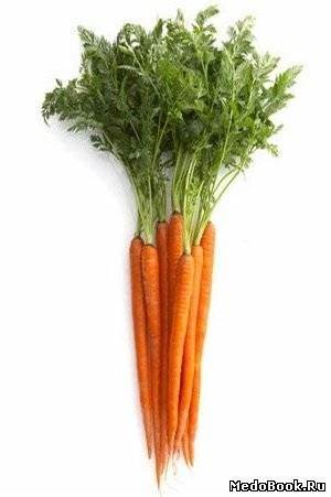 Морковная диета | Скачать бесплатно книги и литературу по медицине Картинка - Морковная диета | Скачать бесплатно книги и литературу по медицине
