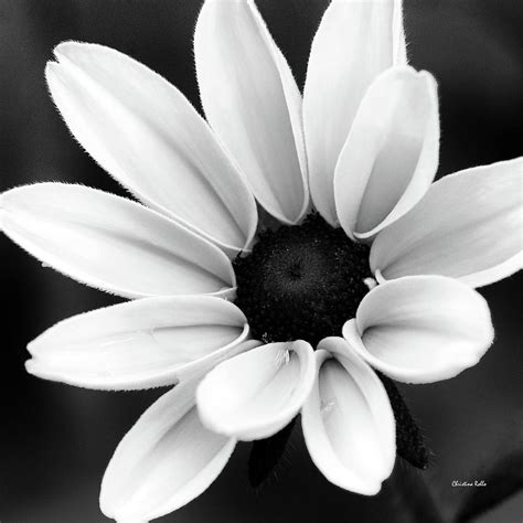 Fajarv Simple Black And White Flower Art