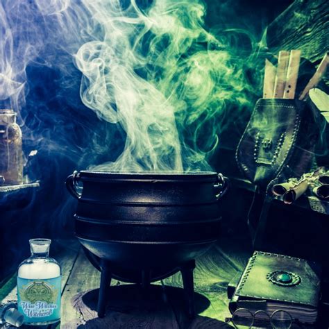 Witches Brews Magic Potions Elixirs And Tinctures Wise Witches And