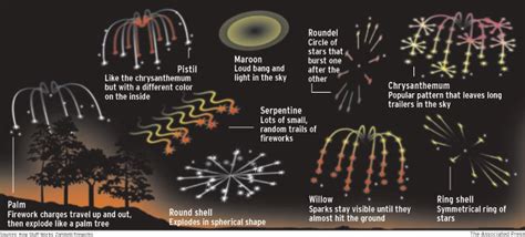 A School Of Fish Anatomy Of A Firework