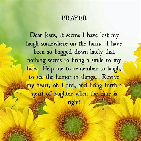 Sunflower Christian Quotes Quotesgram