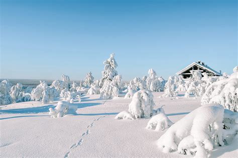 12 Of The Best Things To Do In Lapland Finland Hand Luggage Only