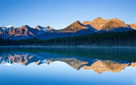 854416 Canada Parks Lake Mountains Forests Banff Rare Gallery