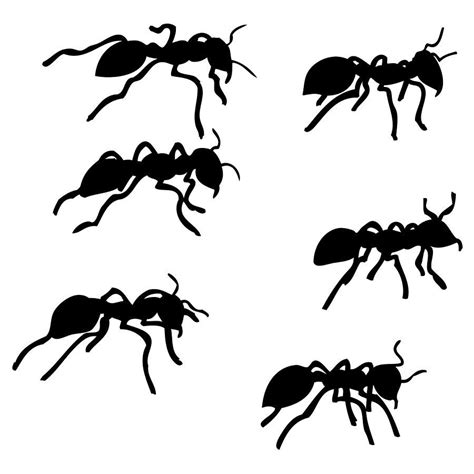 Six Ants By Karl Addison Ants Animal Doodles Ant Tattoo