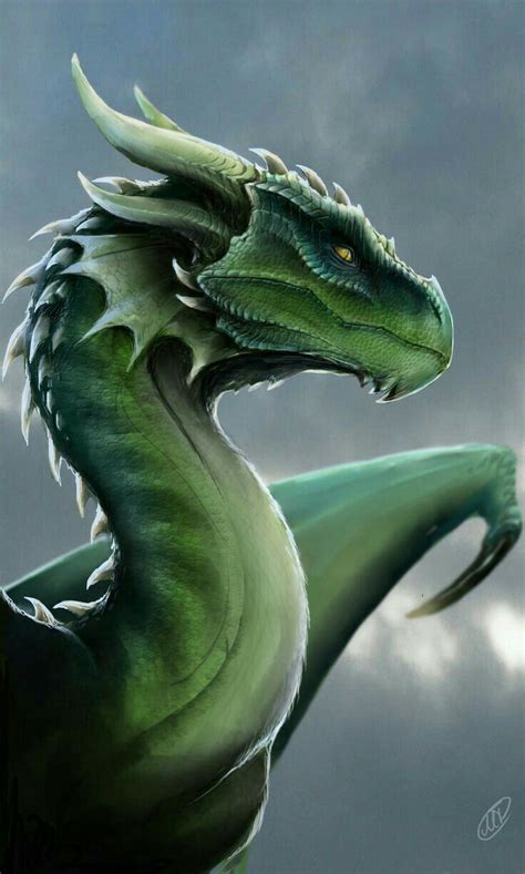 Majestic Green Dragon In The Clouds