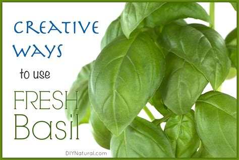 How To Use Fresh Basil In 4 Surprising Ways