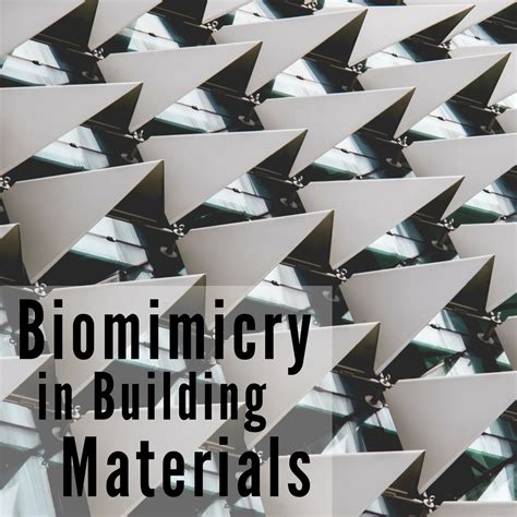 Biomimicry In Building Materials CaraGreen