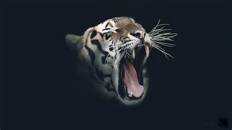 Roaring Tiger Wallpaper Hd