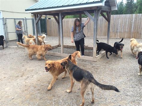 They cared for max as if he was their own. Dog Boarding in Moncton NB - Long Term Boarding, Short ...