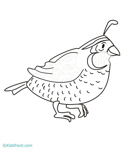 100% free interactive online coloring pages. Quail Coloring Pages - Coloring Home