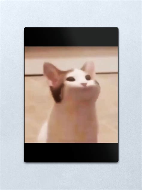 Popping Cat Pop Cat Meme Metal Print For Sale By Memestan Redbubble