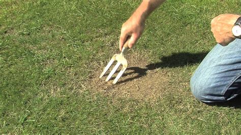 Then be on the lookout for new crabgrass sprouts because they'll require more herbicide treatment. Fix Patches in Your Lawn - YouTube