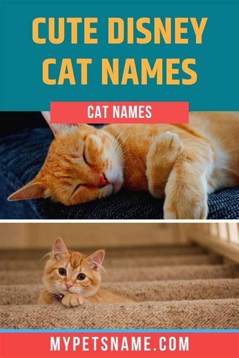 The film pinocchio featured figaro, a kitten so cute minnie adopted him in the shorts. Cute Disney Cat Names | Disney cat names, Disney pet names ...