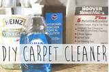 Diy Carpet Steam Cleaning Solution Images
