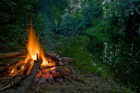 a campfire burning in the middle of a forest photo free fire image on unsplash