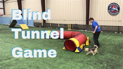 Blind Tunnel Game - Dog Agility Training - YouTube