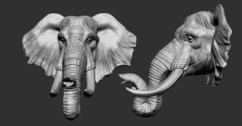 Stl File Elephant Head・3d Printable Design To Download・cults