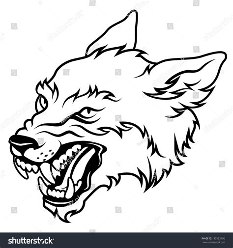 Stock Vektor „angry Wolf Head Vector Illustration Isolated“ Bez