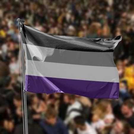 Comprar La Bandera Asexual Al Mejor Precio Orgullo Asexual Debandera