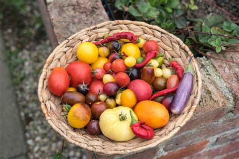 Ernährung Tipps Rund Um Kräuter Gemüse And Obst Plantura