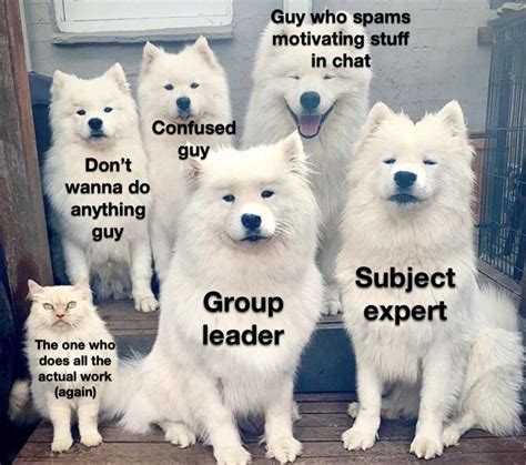 Group Projects Dog Memes Funny Dog Pictures Memes